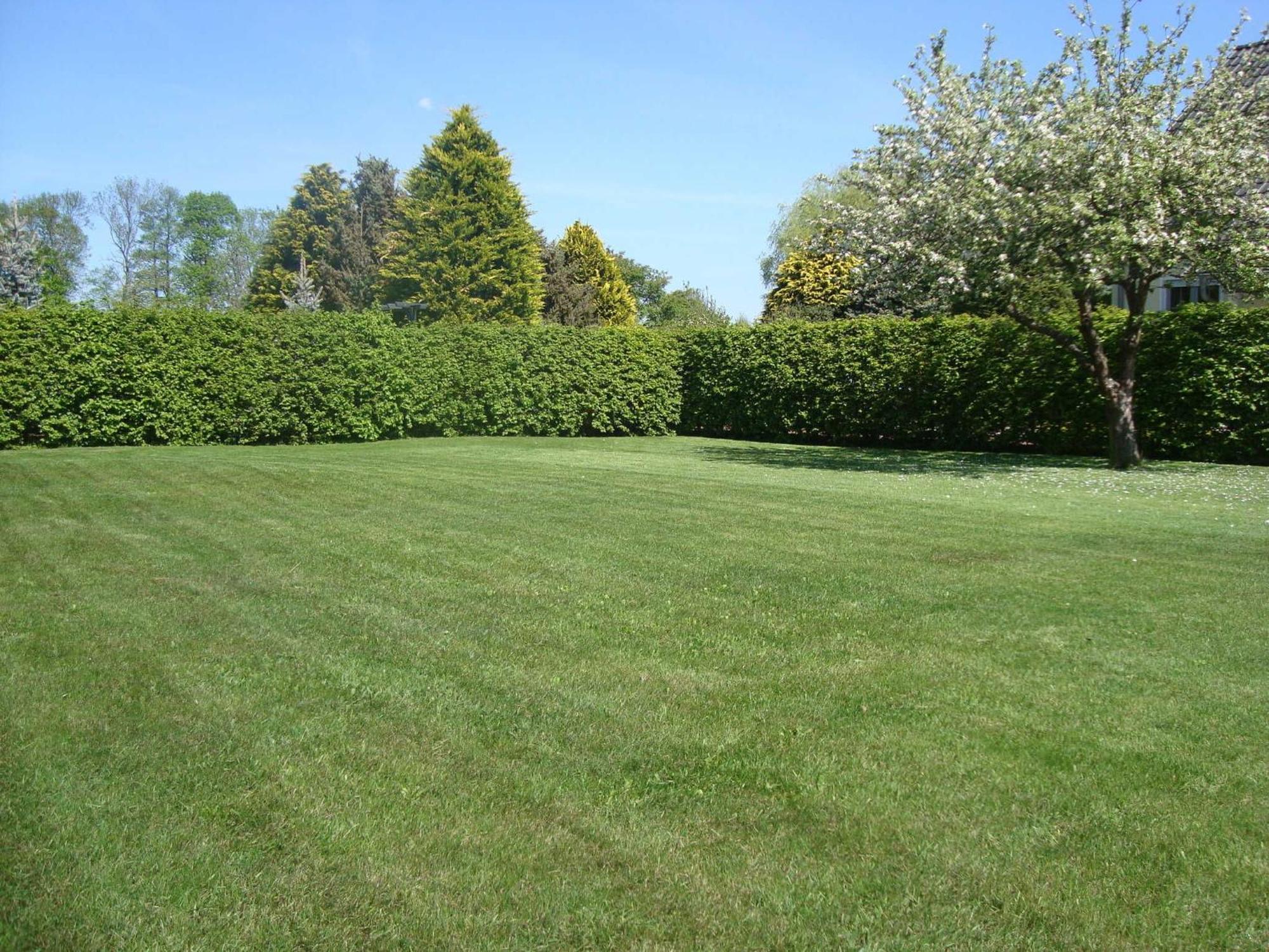 Ferienwohnung Zschornack Wittichenau ภายนอก รูปภาพ